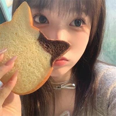 侠影骑踪
